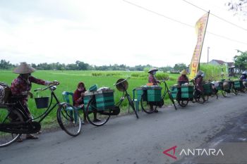 Bantul menyiapkan lahan untuk tanaman penghasil bahan baku industri jamu