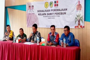 Pemkab Barut siap bantu petani  ikut peremajaan kelapa sawit