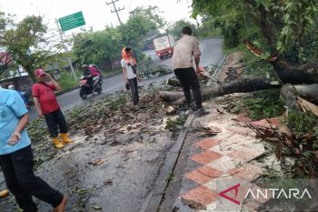 BPBD OKU imbau warga waspada puting  beliung