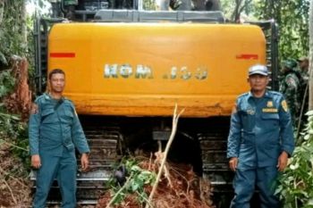 Perambah hutan di Suaka Margasatwa Giam Siak Kecil ditangkap