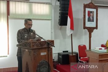 Bupati Bantul minta DLH pangkas pohon rawan tumbang