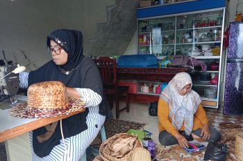 Pemkab Agam bina kerajinan tangan enceng gondok