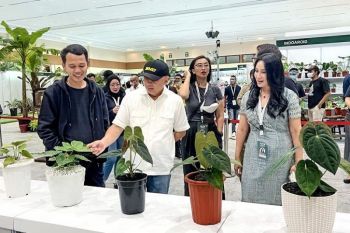 Indonesia sentra tanaman hias dunia