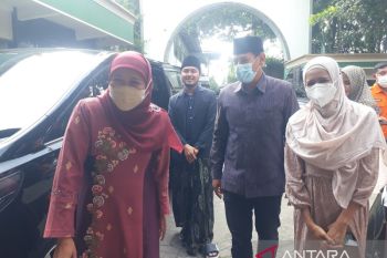 Capaian produksi padi di Jatim terbesar nasional