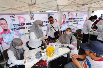 Dinkes Sulsel perkuat koordinasi dengan IDAI antisipasi gagal ginjal akut