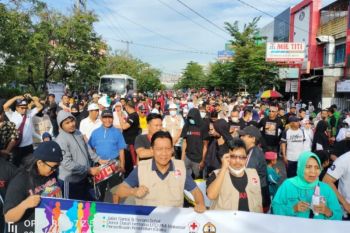 Relawan Sulsel mulai bergerak sosialisasikan Anies Baswedan di Makassar