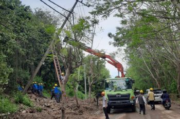 Petugas PLN NTB memperbaiki infrastruktur rusak akibat banjir