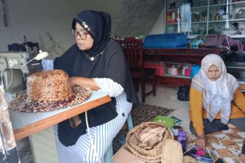 Membersihkan perairan, meraup cuan dari enceng gondok Danau Maninjau