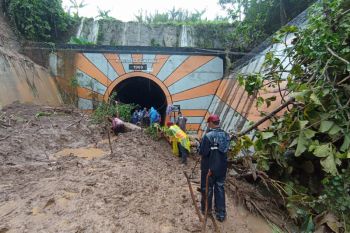 KAI: Jalur Sumberpucung - Pohgajih sudah bisa dilewati
