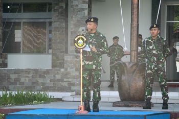Danlantamal VIII minta personel bijak dalam gunakan media sosial