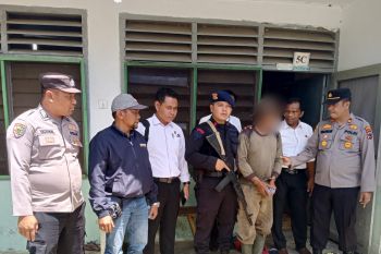 Polres Pasbar tangkap seorang karyawan perusahaan sawit tanam ganja dalam polibag