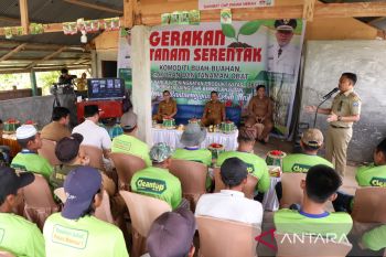 Pemkab Bantaeng menggelar penanaman di lahan 30 hektare guna tekan inflasi