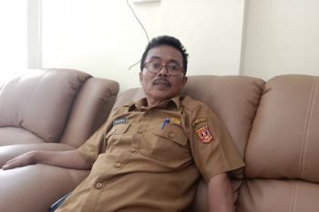 Pemkab Agam vaksin 3.000 ternak antisipasi PMK