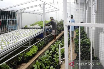 Pengembangan Ecofarming di Lapas Indramayu