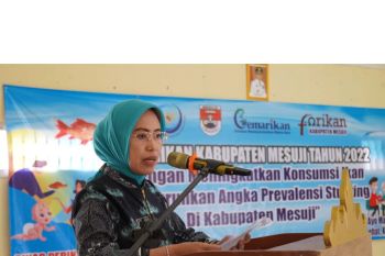 Ketua TP PKK Mesuji Ny. Pori Karlia Sulpakar sosialisasikan Gemarikan