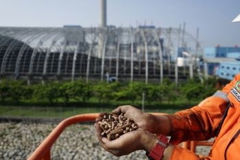 PLN pamerkan delapan upaya kurangi emisi karbon di SOE International Conference