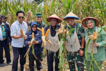 Pemkab Jayapura luncurkan sentra industri kakao Distrik Namblong
