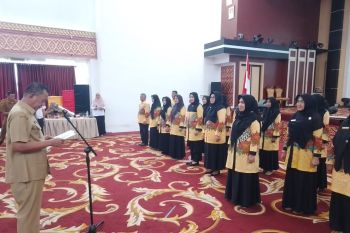Bupati Pesisir Selatan : Dekranasda mesti jadi teladan