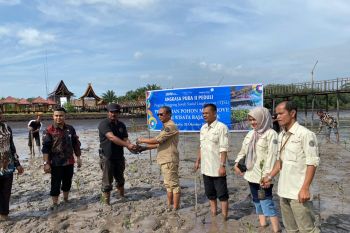 Angkasa Pura II Pekanbaru tanam ribuan bakau di Bengkalis