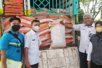 Petani tembakau di Lumajang dapat bantuan pupuk dari DBHCT