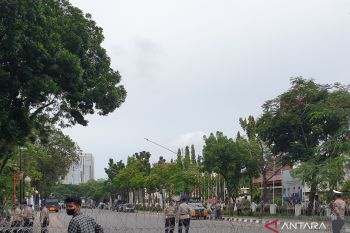 Palembamg galakkan penanaman pohon perindah wajah kota