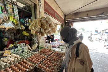 DKPP: Pasokan pangan di Batam cukup hingga akhir 2022