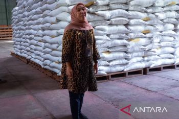 Bulog pastikan stok beras di Natuna tersedia