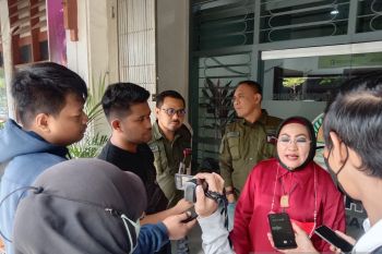 Dewan Lingkungan Makassar minta DLH selesaikan dugaan penebangan pohon ilegal