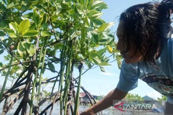 Pegiat lingkungan sebut penegakan hukum belum optimal