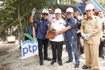 Gubri : PSR PTPN V tingkatkan produktivitas sawit petani
