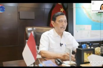 Luhut sebut puncak gelombang varian baru COVID-19 terjadi dua bulan ke depan