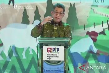 Bank Indonesia paparkan kerja sama dengan pemda untuk kendalikan inflasi