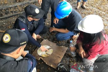 Labfor Palembang selidiki penyebab kebakaran pabrik sawit di Bengkulu