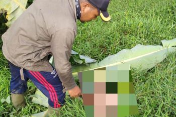 Petugas temukan tiga korban jiwa terseret banjir di Blitar