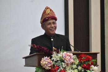 Pemkab OKI jadikan sektor pertanian penopang ekonomi