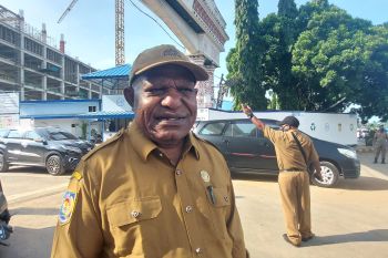 Dinkes Papua imbau RS lebih teliti periksa gejala gangguan ginjal akut anak