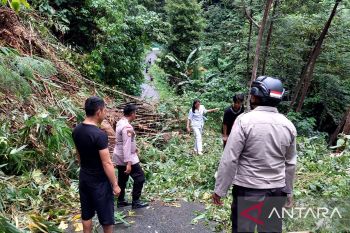 Tanah longsor Sibarut Wabup Sitaro imbau pengguna jalan tetap waspada