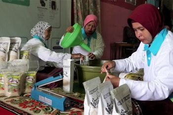 Hari Listrik Nasional ke-77, program TJSL PLN bantu UMK naik kelas