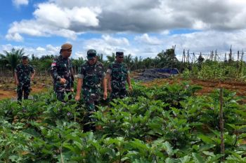 TNI gencarkan program ketahanan pangan di perbatasan Indonesia-Malaysia