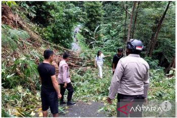 Pemerintah mengimbau warga waspada bencana longsor di Kepulauan Sitaro