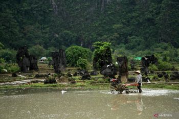 Mentan sediakan bantuan pompa untuk sawah terendam di Maros