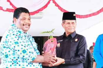 SMKN 4 Pertanian Biak Numfor bagikan 1.500 bibit tanaman cabai