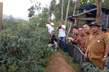 Pasaman Barat anggarkan Rp7, 7 miliar lebih jaga ketahanan pangan