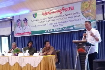 Bupati Pesisir Selatan tekan kemiskinan lewat sektor pertanian