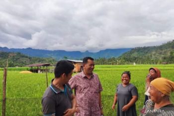 Bupati Pesisir Selatan tegaskan OPD bidang ekonomi serius urus petani