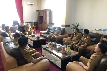 Pj Wali Kota Payakumbuh ingin daerahnya miliki ikon daerah berdasarkan adat dan budaya