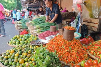 Pemkab Minahasa bagikan 450.000 "polybag" cabai guna kendalikan inflasi