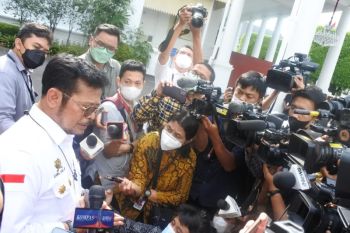 Presiden Jokowi perintahkan Mentan cek data stok beras