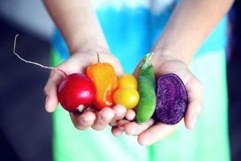 Kecerdasan anak juga ditentukan oleh asupan nutrisi
