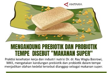 Mengandung Prebiotik dan Probiotik Tempe disebut "Makanan Super"